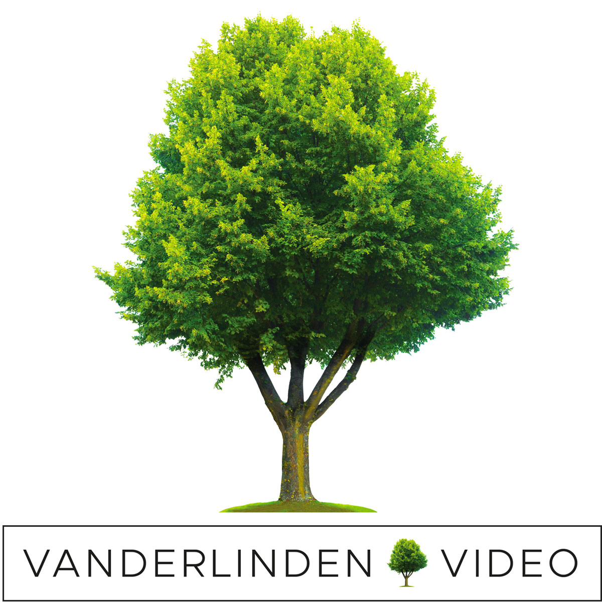 Vanderlinden Video