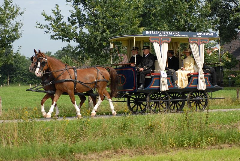 Stalhouderij Biessum