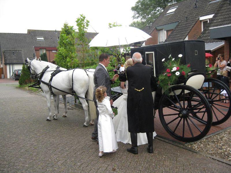 3_stalhouderij_biessum_trouwvervoer-delfzijl