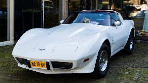 1972-1320131804