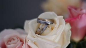 Rings of Love