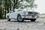 1972-427212819