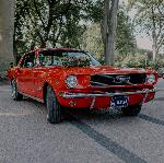 1972-572565468